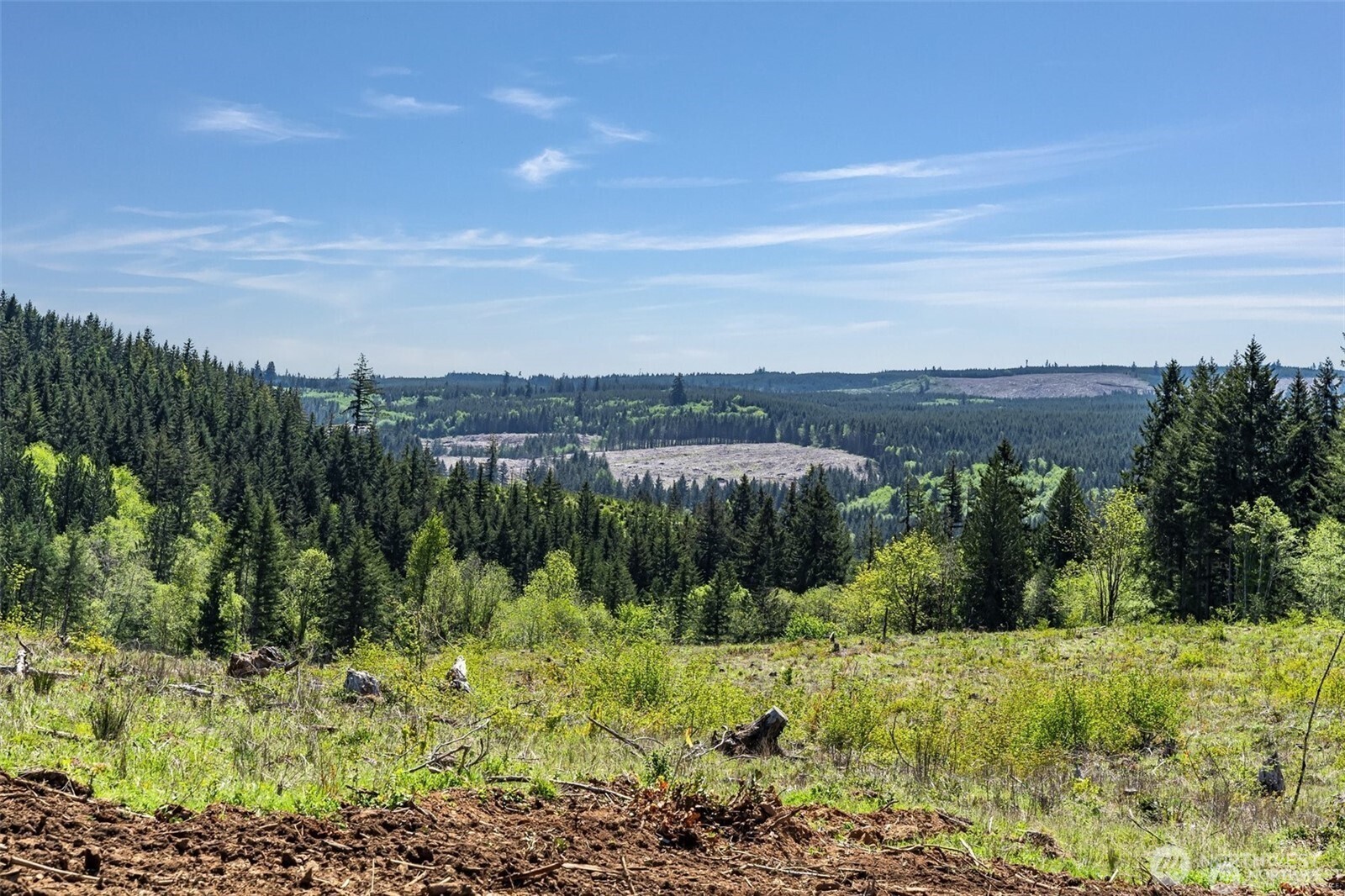 597 Brown Road East Chehalis, WA 98532 - Photo 9 of 17 a view of a green field