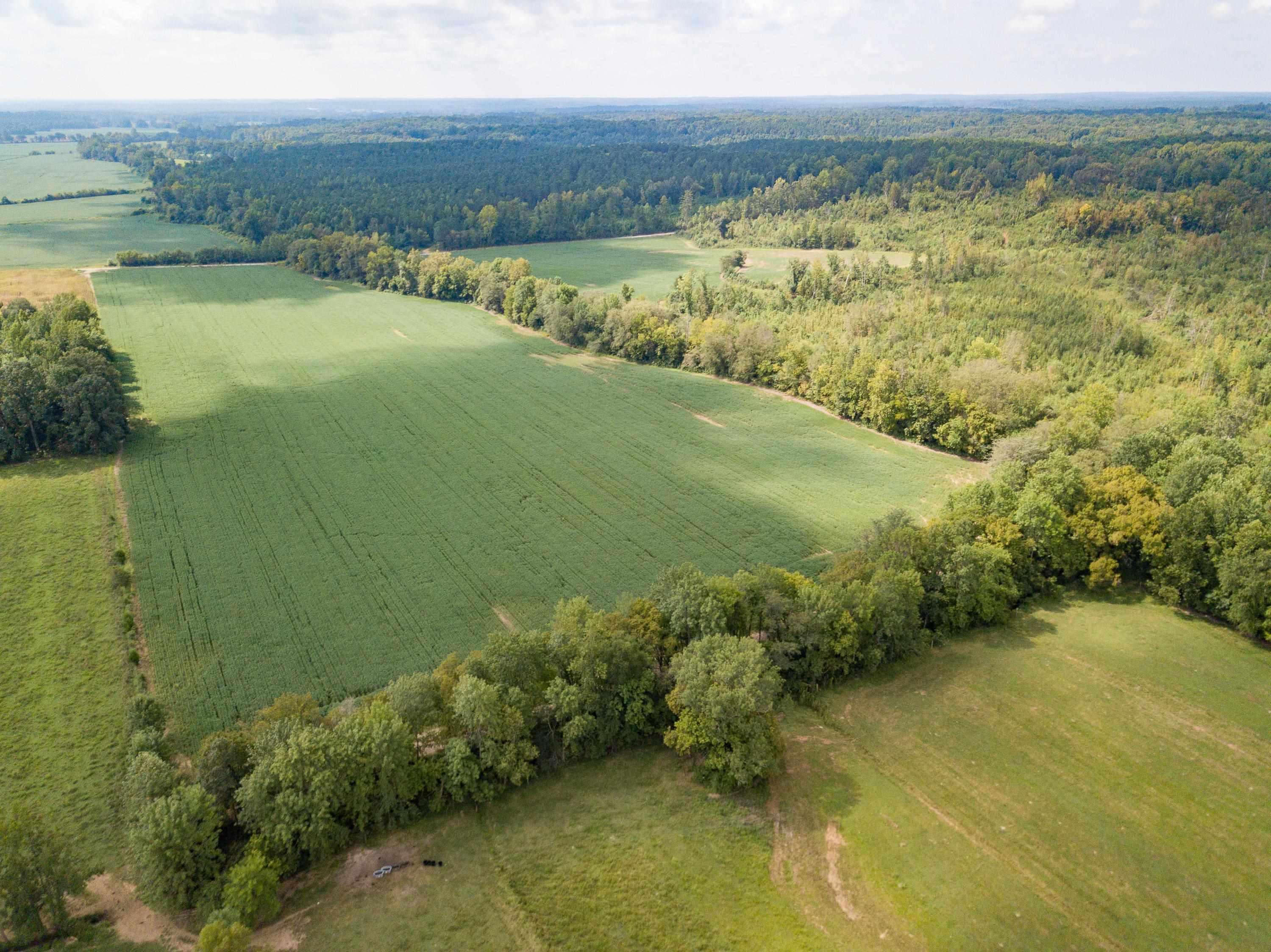 139 Plunk Drive Adamsville, TN 38310 - Photo 22 of 25 a view of a lake with a yard