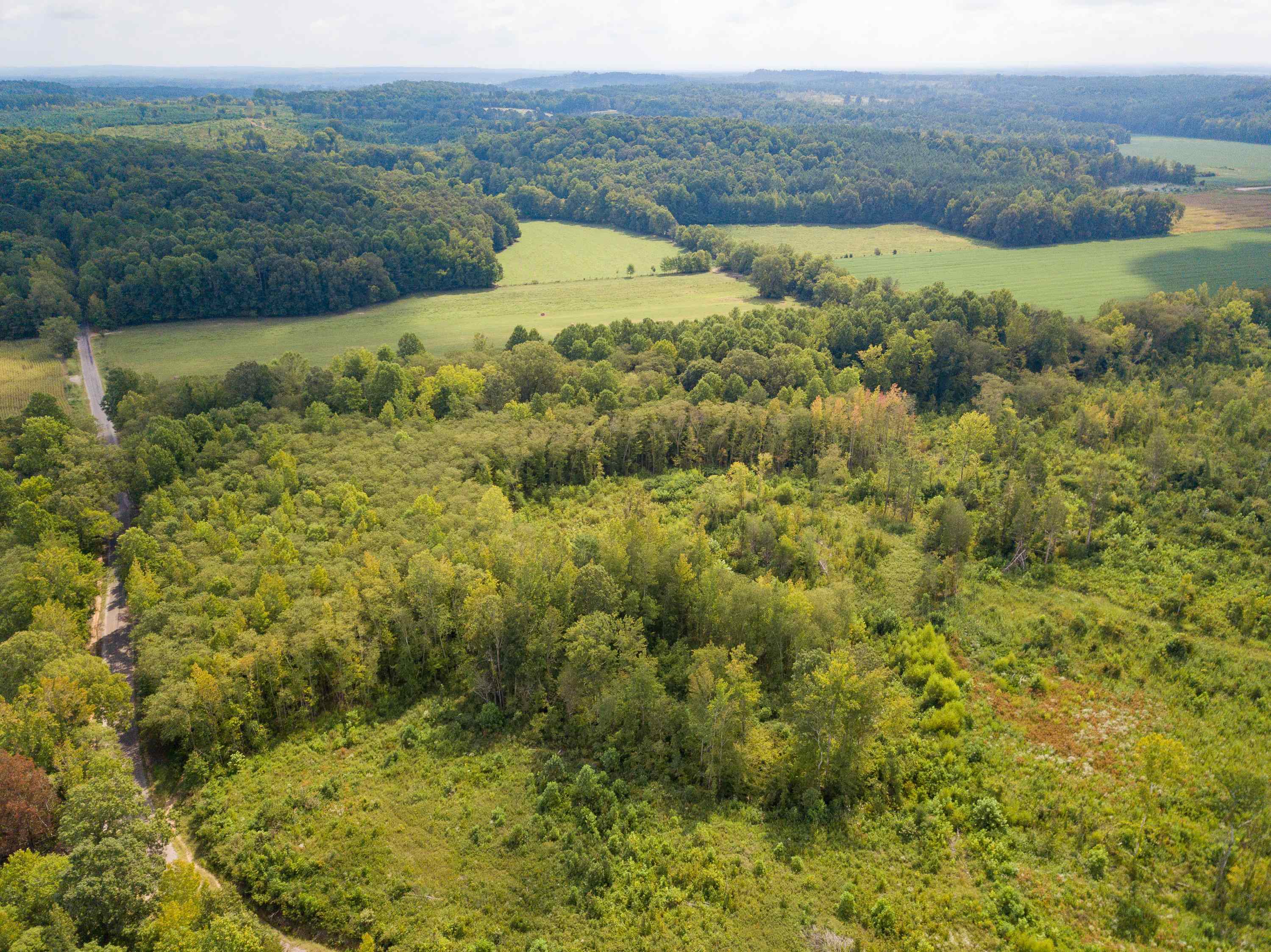 139 Plunk Drive Adamsville, TN 38310 - Photo 24 of 25 a view of lake with mountain