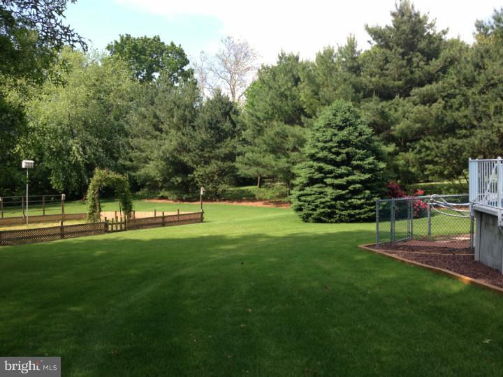 827 Pine Heights Road Reading, PA 19605 - Photo 5 of 25 Back Yard