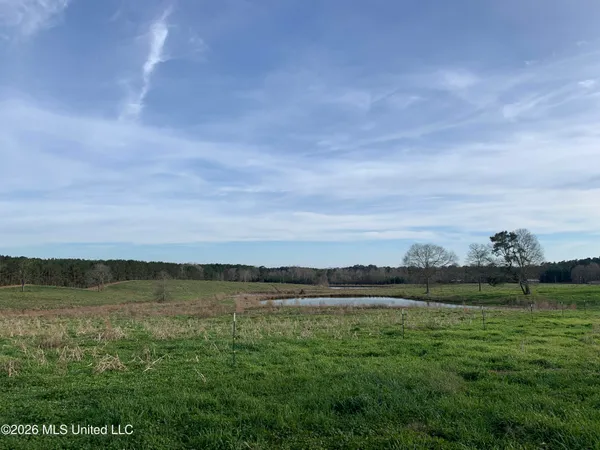 $265,000 | 79 Adron Boyd Road, Tylertown, MS 39667