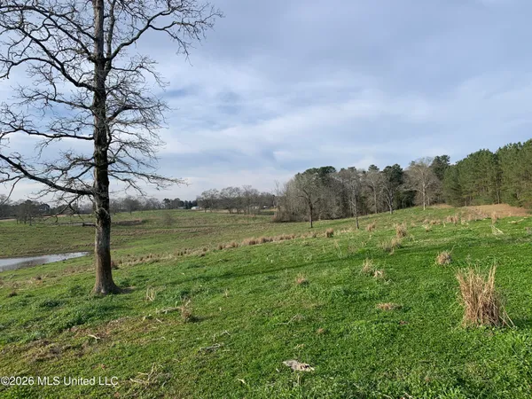 $265,000 | 79 Adron Boyd Road, Tylertown, MS 39667