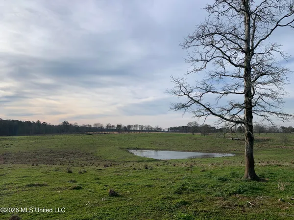 $265,000 | 79 Adron Boyd Road, Tylertown, MS 39667