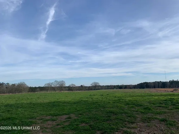 $265,000 | 79 Adron Boyd Road, Tylertown, MS 39667