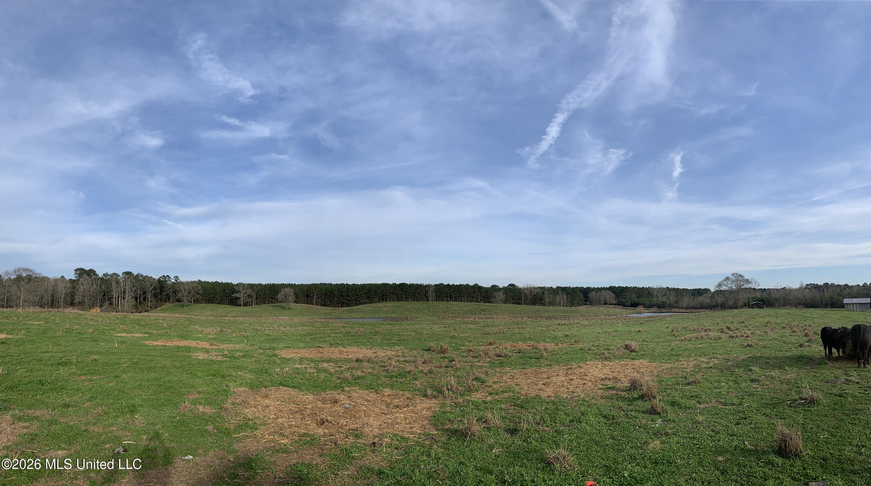 79 Adron Boyd Road Tylertown, MS 39667 - Photo 5 of 12 IMG_7696 2