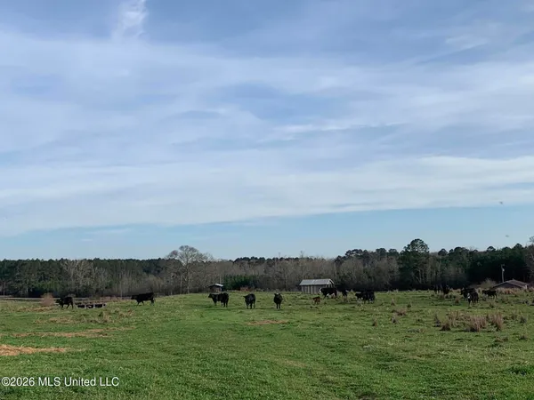 $265,000 | 79 Adron Boyd Road, Tylertown, MS 39667