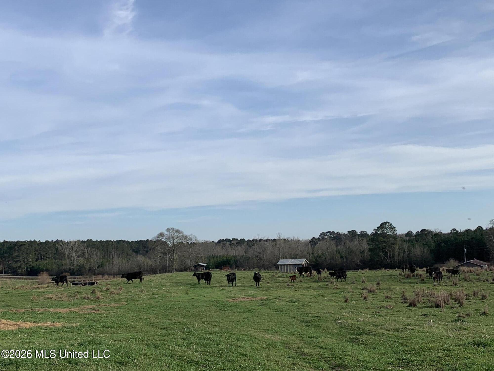 79 Adron Boyd Road Tylertown, MS 39667 - Photo 6 of 12 IMG_7690