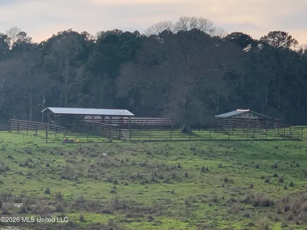 $265,000 | 79 Adron Boyd Road, Tylertown, MS 39667