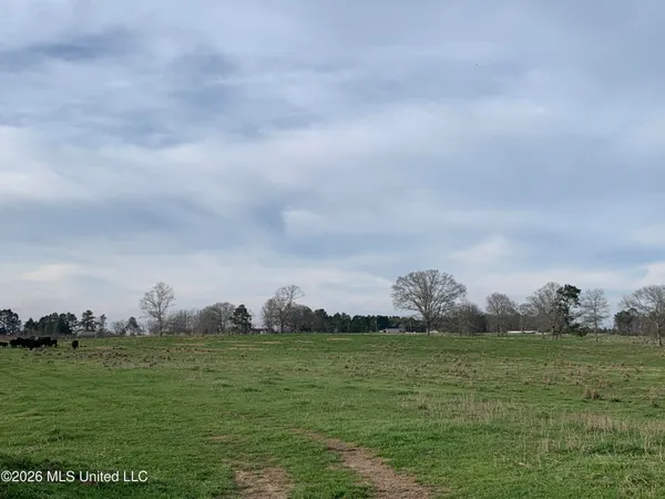 $265,000 | 79 Adron Boyd Road, Tylertown, MS 39667