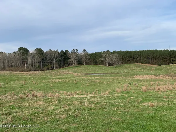 $265,000 | 79 Adron Boyd Road, Tylertown, MS 39667