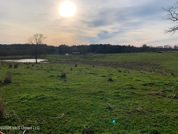 $265,000 | 79 Adron Boyd Road, Tylertown, MS 39667