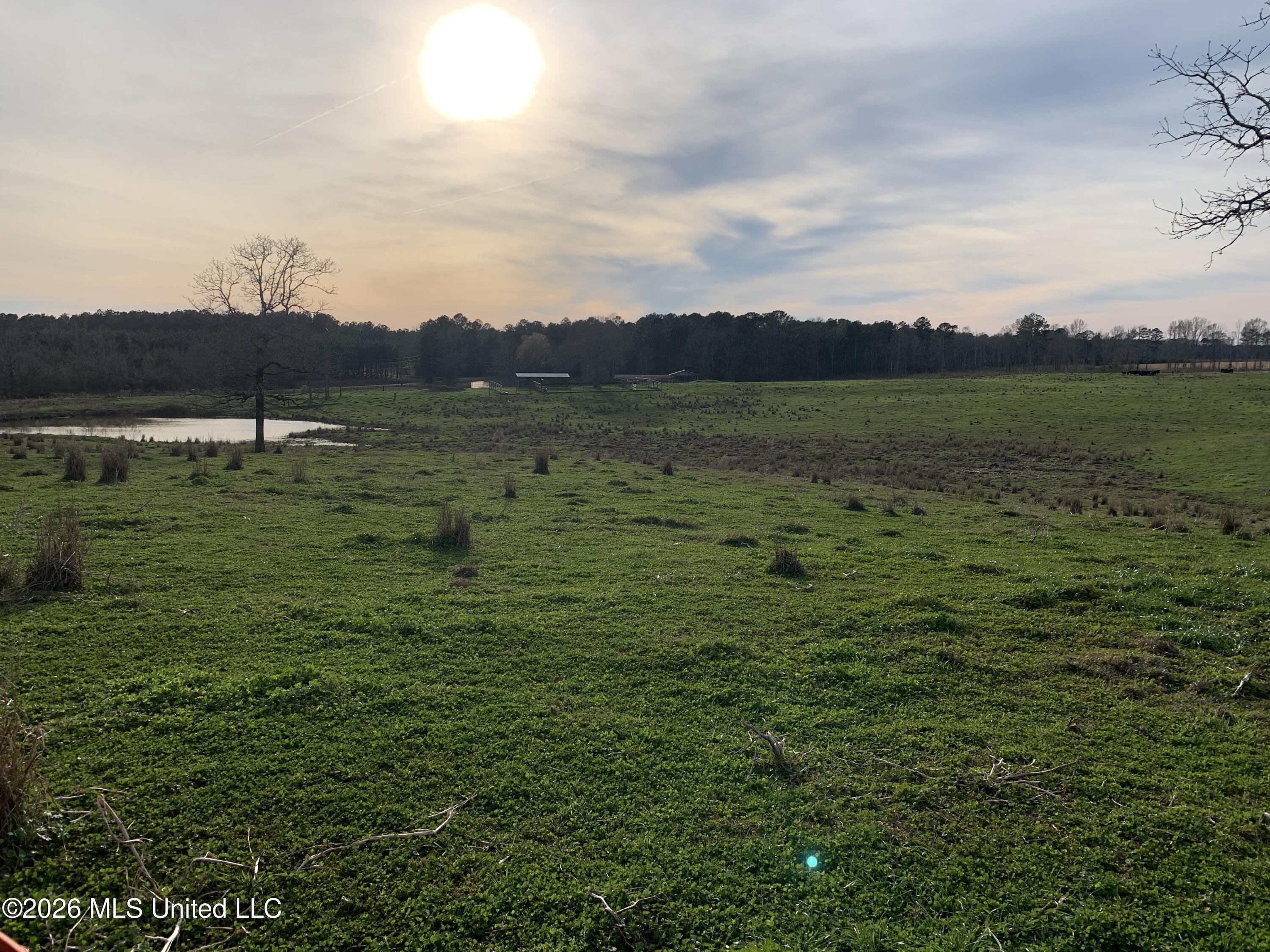 79 Adron Boyd Road Tylertown, MS 39667 - Photo 10 of 12 IMG_7697