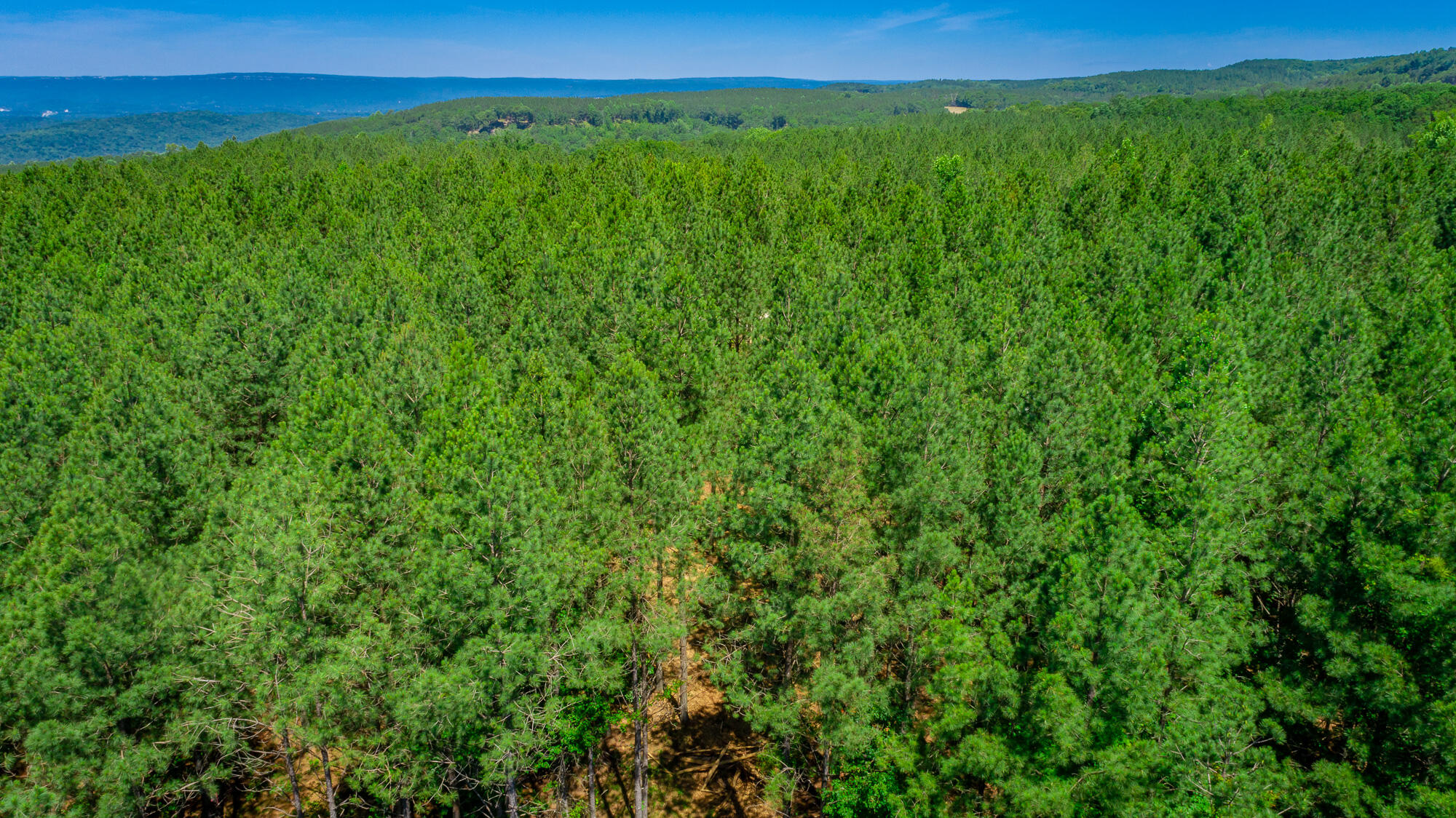 0 Split Rail Way, Unit LOT 1163 Guild, TN 37340 - Photo 63 of 118 River Gorge Lot 1163 HD-69