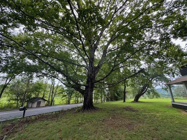 1883 Houston Valley Road Ringgold, GA 30736 - Photo 16 of 18 Gallery Image 16