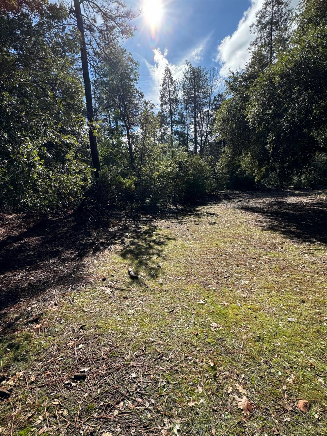 19171 Ridge Road Pine Grove, CA 95665 - Photo 1 of 1 Gallery Image 1