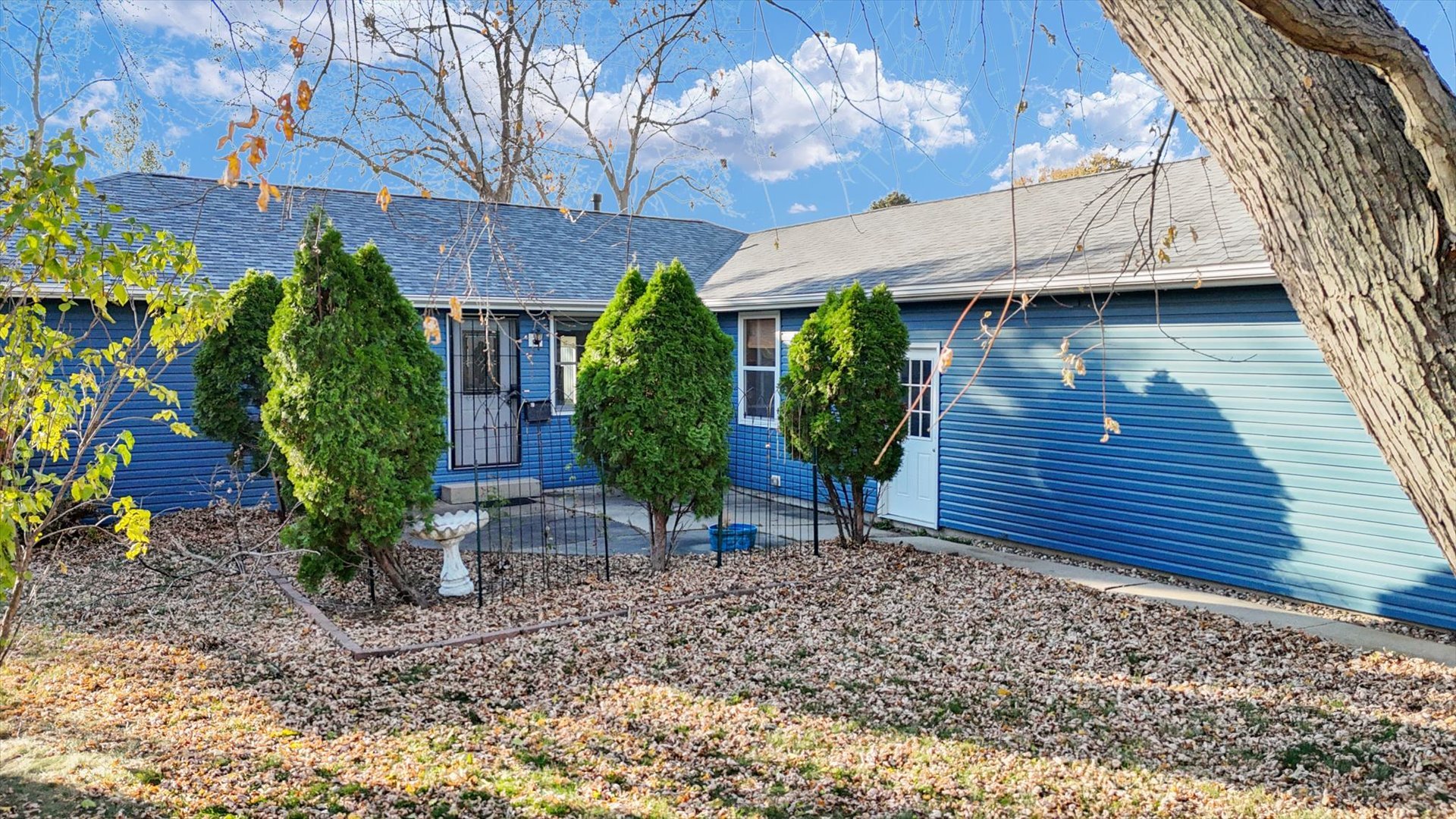a view of a backyard with plants and large tree
