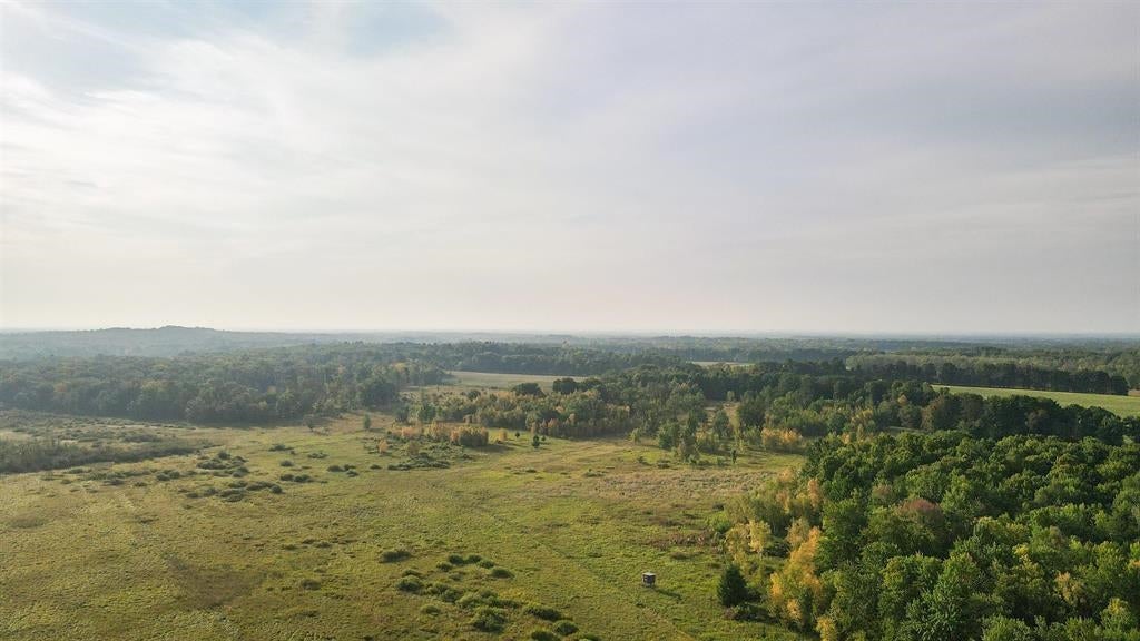 40-acres County Road South Rudolph, WI 54475 - Photo 11 of 21 Gallery Image 11
