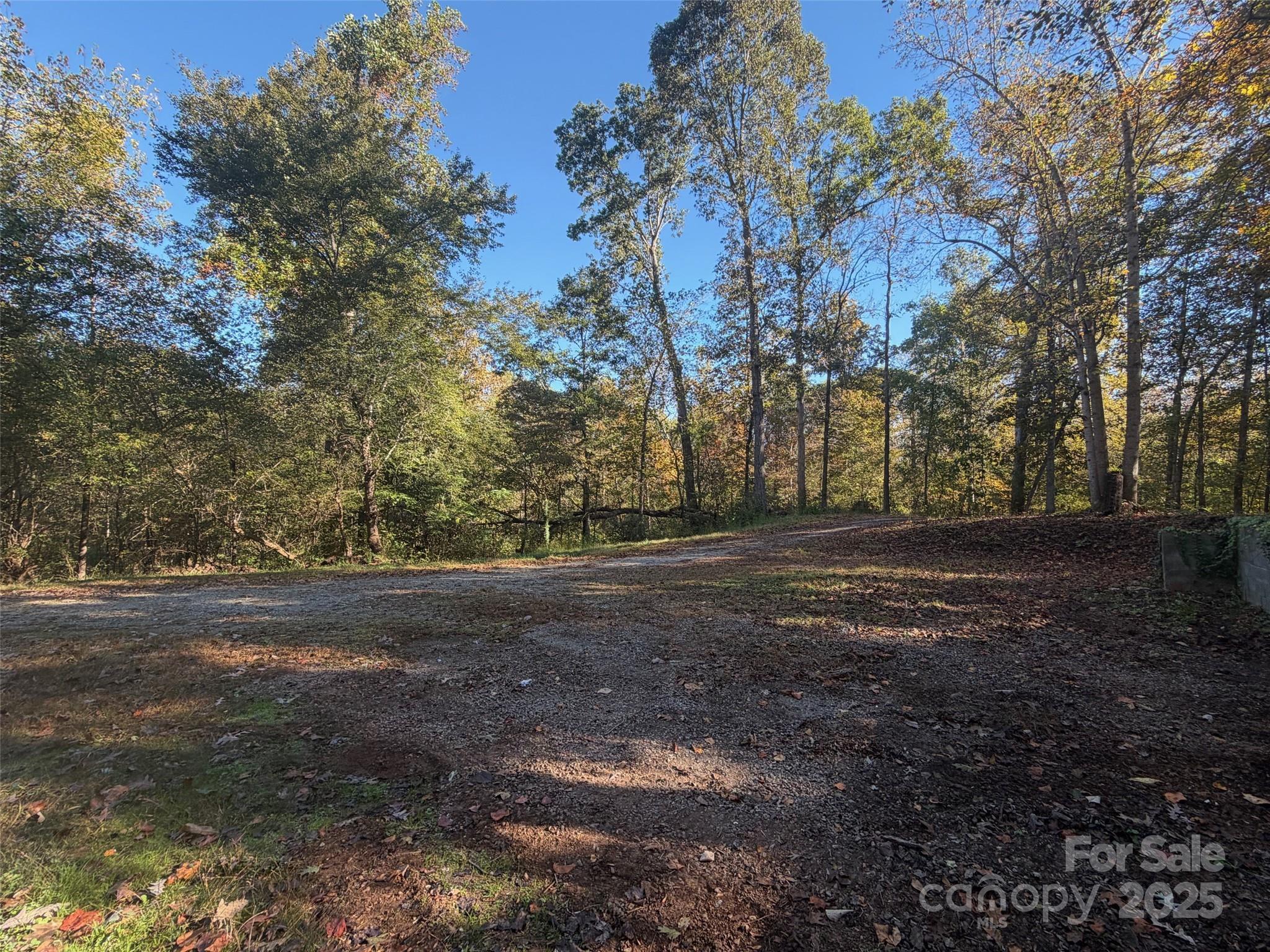 1470 Requa Road Cherryville, NC 28021 - Photo 28 of 28 a view of dirt yard with large trees