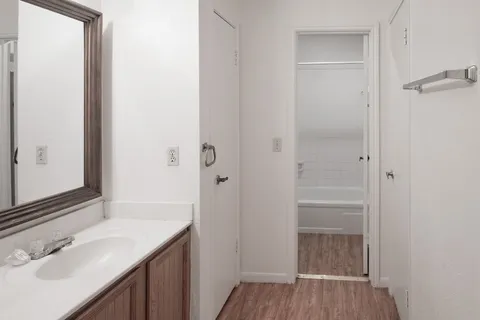a bathroom with a sink and a mirror