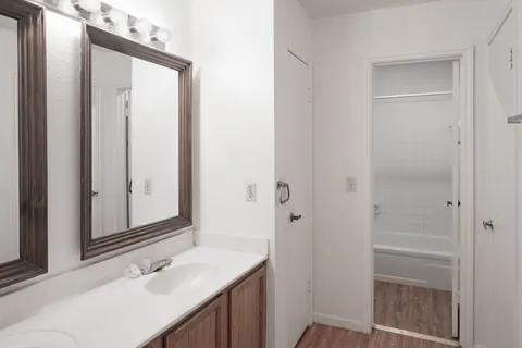 a bathroom with a sink and a mirror