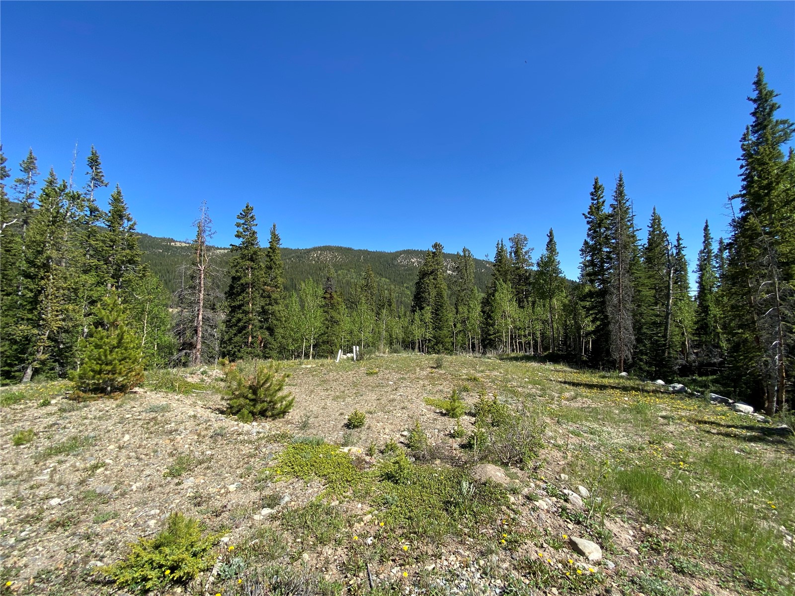 522 Quartzville Road Alma, CO 80420 - Photo 37 of 46