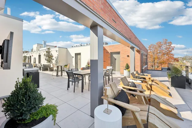 a view of a patio with couches chairs and a potted plant