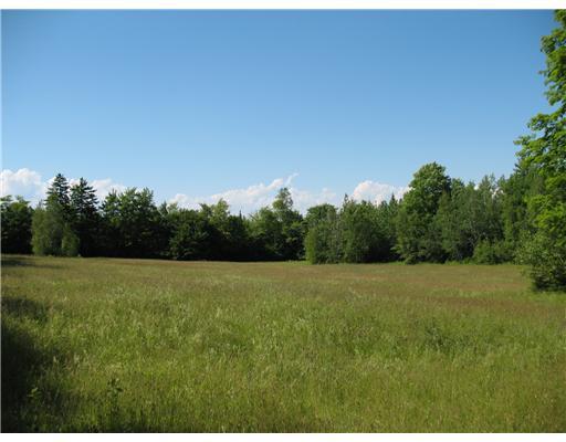 1417 Bangor Road Ellsworth, ME 04605 - Photo 6 of 20 Land/Lot. lower field with northeast...