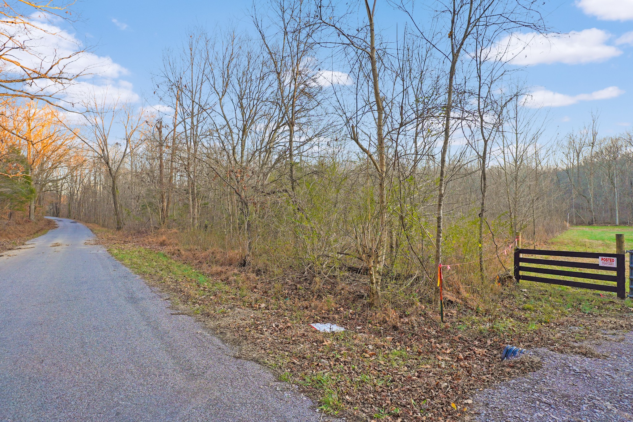 0 Melton Springs Road Dover, TN 37058 - Photo 3 of 12 Gallery Image 3