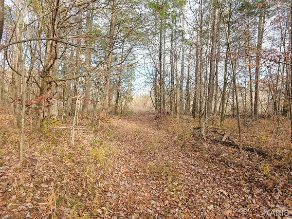 $285,000 | 416 Madison 416, Fredericktown, MO 63645