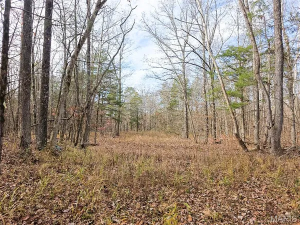 $285,000 | 416 Madison 416, Fredericktown, MO 63645