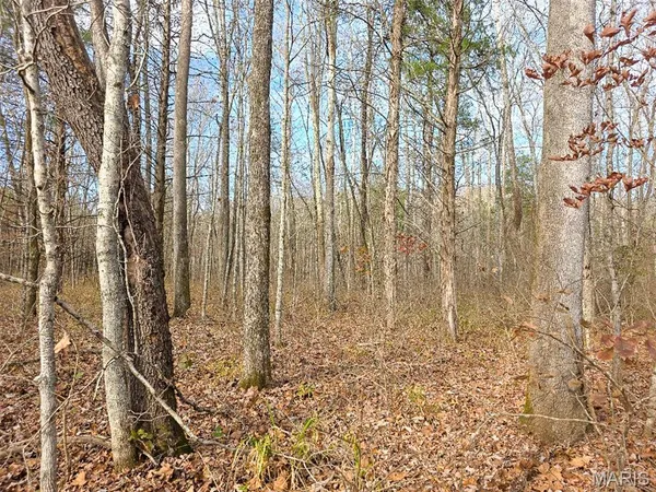 $285,000 | 416 Madison 416, Fredericktown, MO 63645