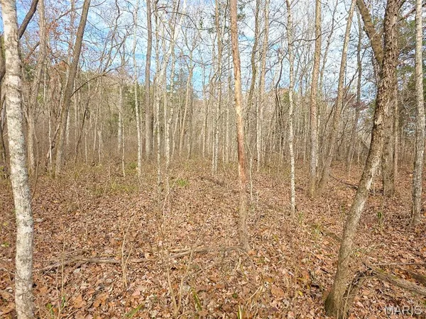 $285,000 | 416 Madison 416, Fredericktown, MO 63645