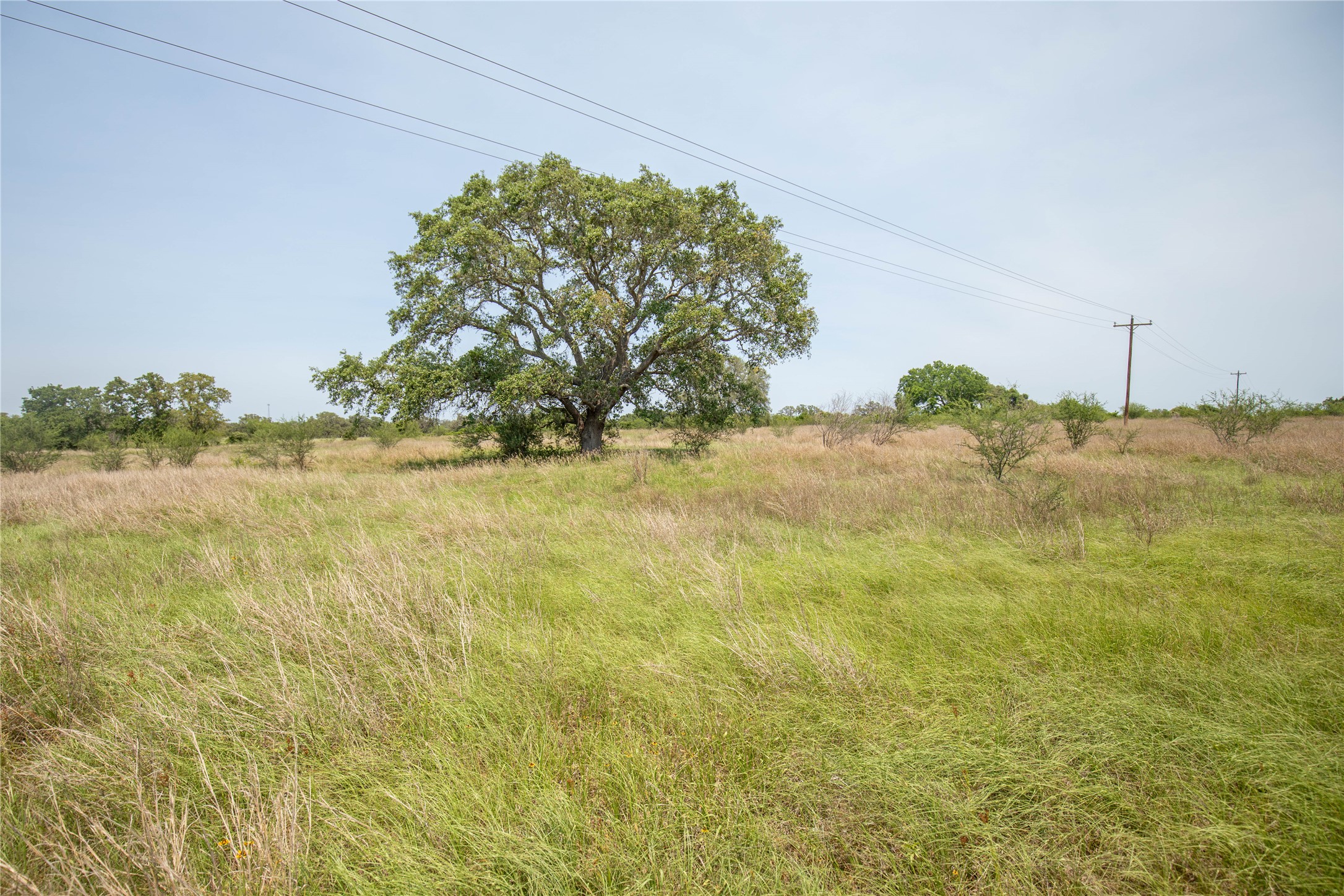 0 Green Dewitt Road Cuero, TX 77954 - Photo 34 of 40