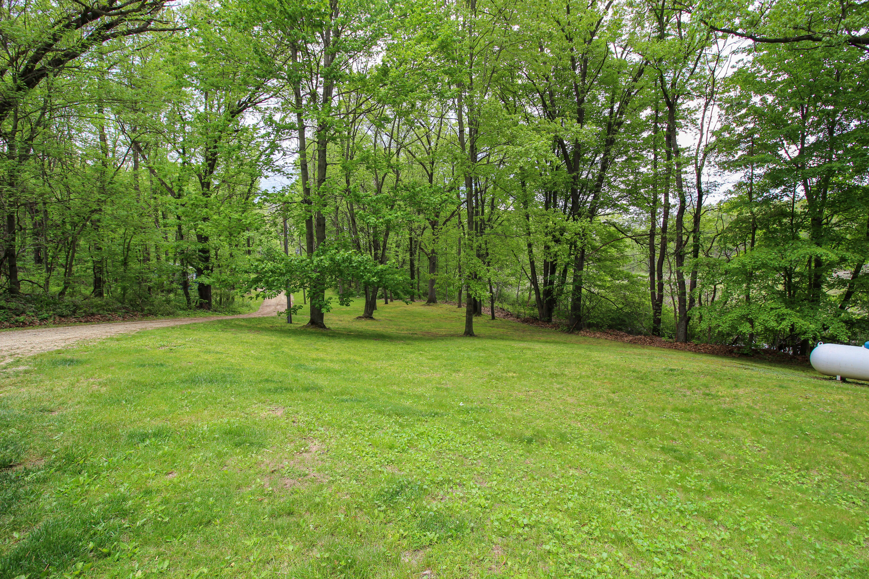 11111 Born Street Three Rivers, MI 49093 - Photo 22 of 65 Born-33