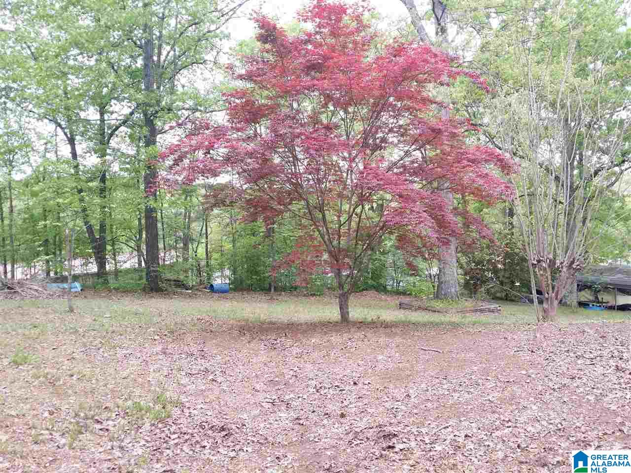 6212 May Street Anniston, AL 36206 - Photo 17 of 19