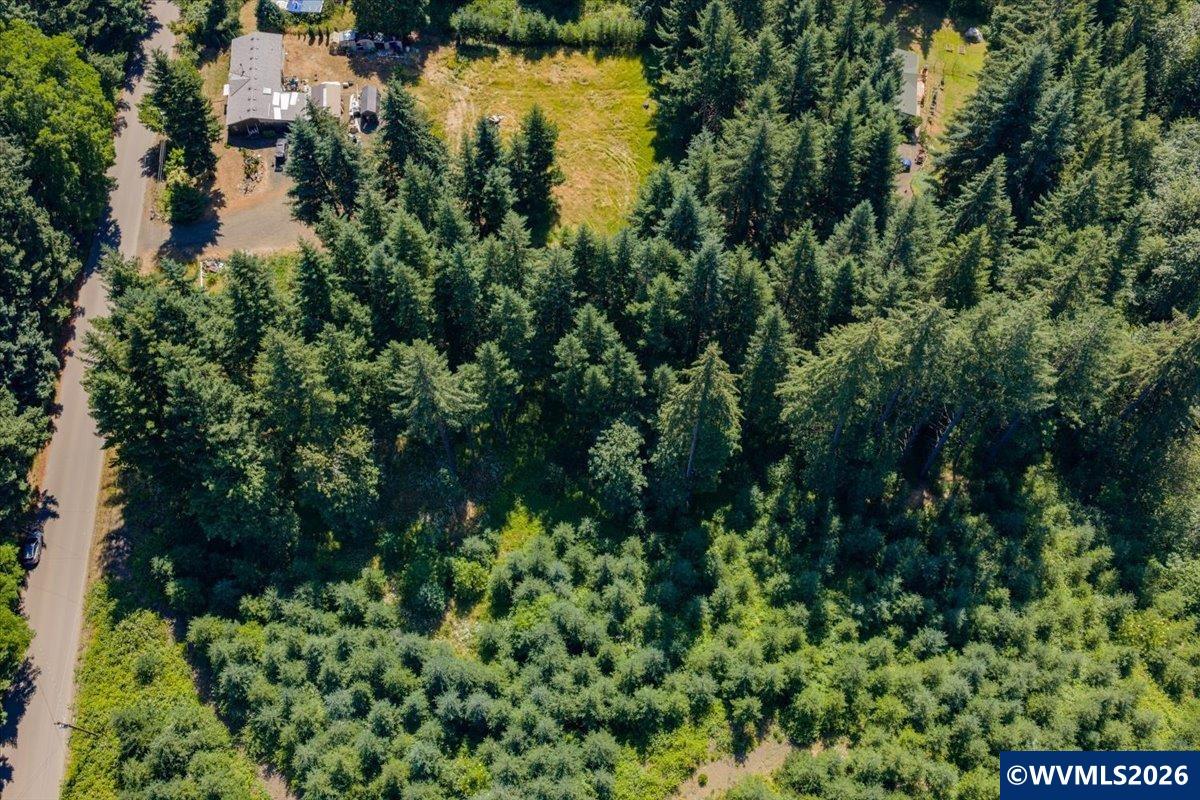 432 Chamberlain Road Falls City, OR 97344 - Photo 15 of 26