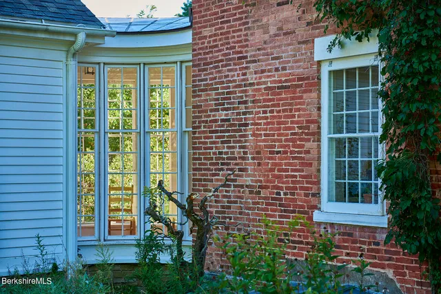 a view of a backyard with plants and a patio