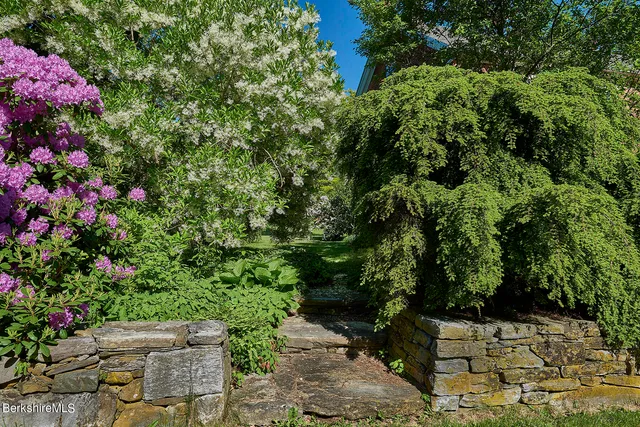 a view of a back yard