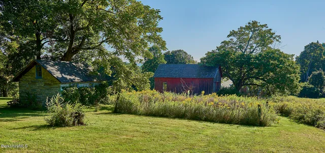 a view of a backyard with large trees
