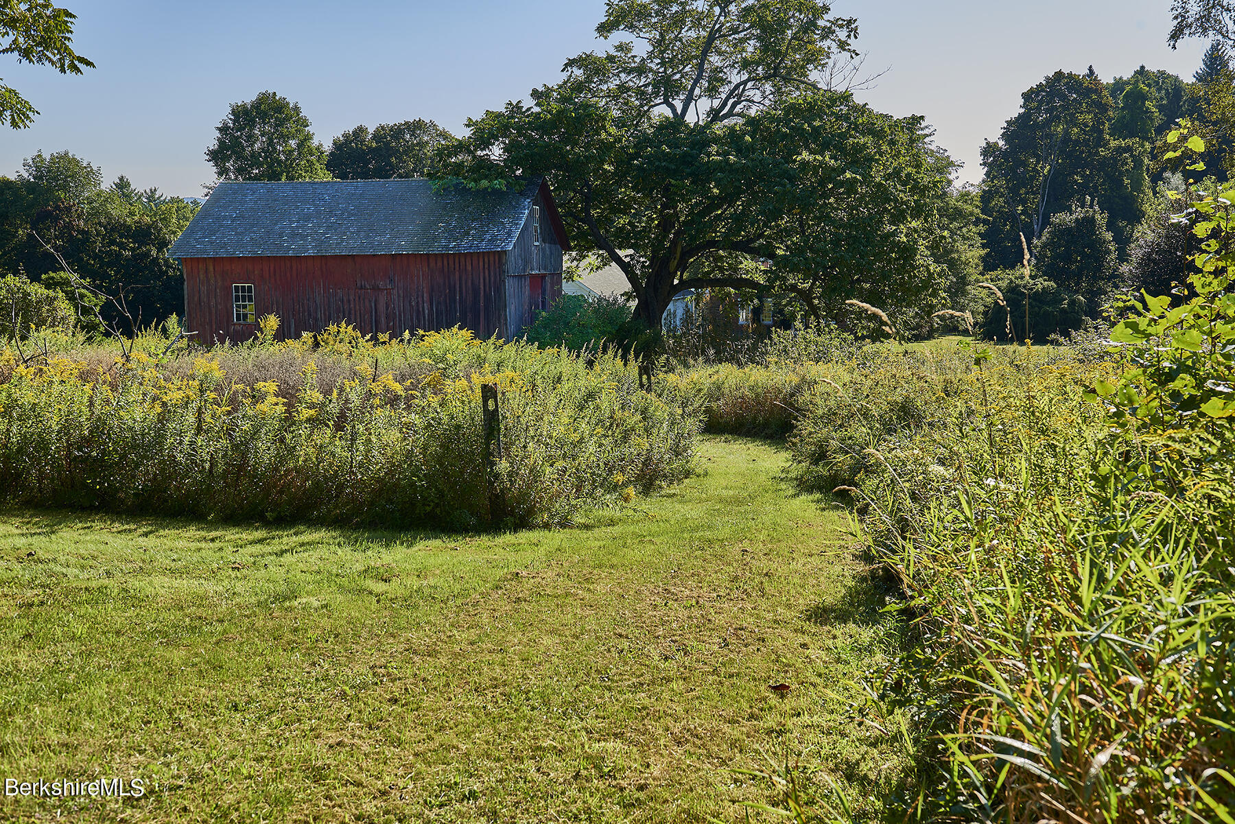 17 East Street Stockbridge, MA 01262 - Photo 35 of 43 Copy of barn alone with path and goldenr