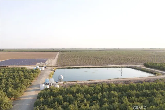 an aerial view of ocean and trees