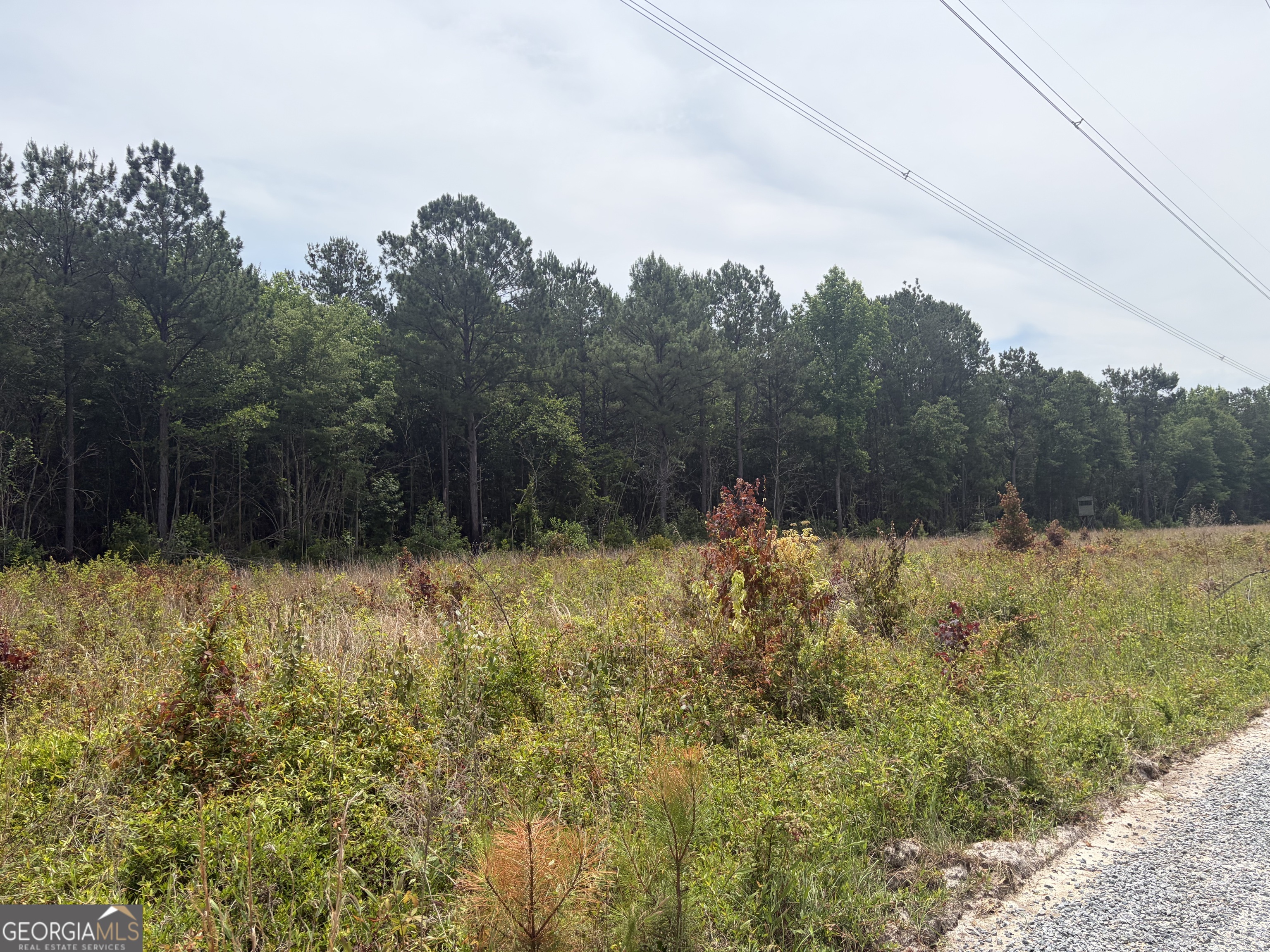 6 Sunhill Grange Road Sandersville, GA 31018 - Photo 4 of 8