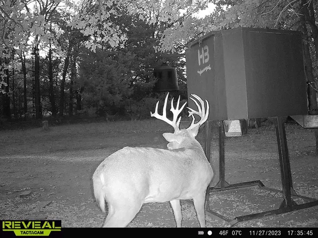 $3,999,000 | 186 Martin Lane, Sadler, TX 76264