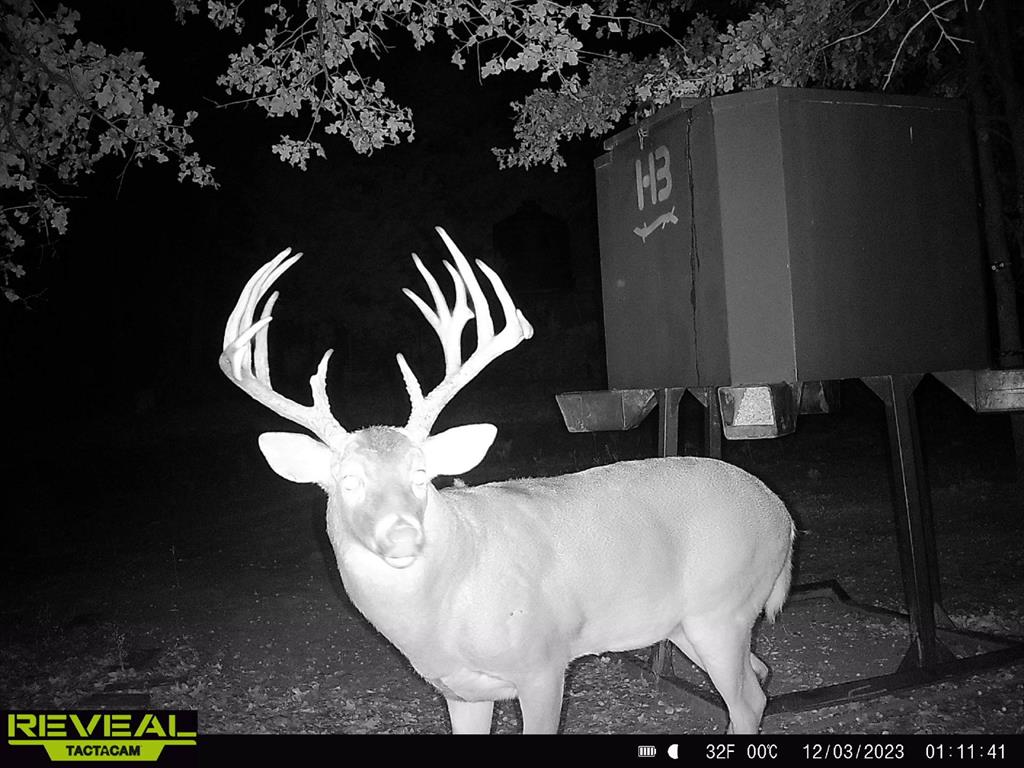 186 Martin Lane Sadler, TX 76264 - Photo 37 of 39 a view of entryway