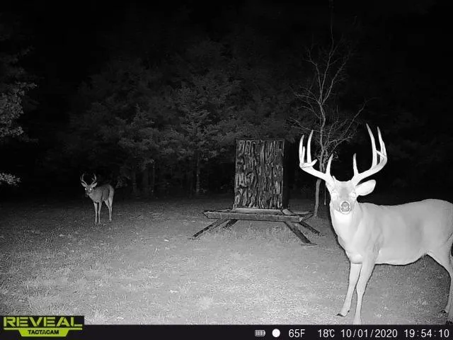 $3,999,000 | 186 Martin Lane, Sadler, TX 76264