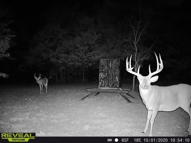 186 Martin Lane Sadler, TX 76264 - Photo 38 of 39 a view of an outdoor space