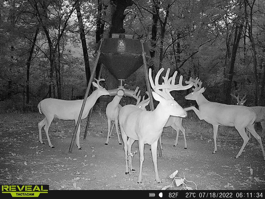 186 Martin Lane Sadler, TX 76264 - Photo 39 of 39 a view of a chairs and table in the backyard