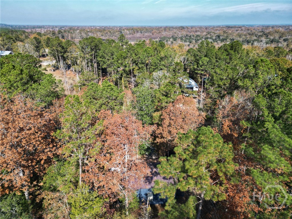 2286 Carter Bight Landing Road Surrency, GA 31563 - Photo 20 of 35 Gallery Image 20