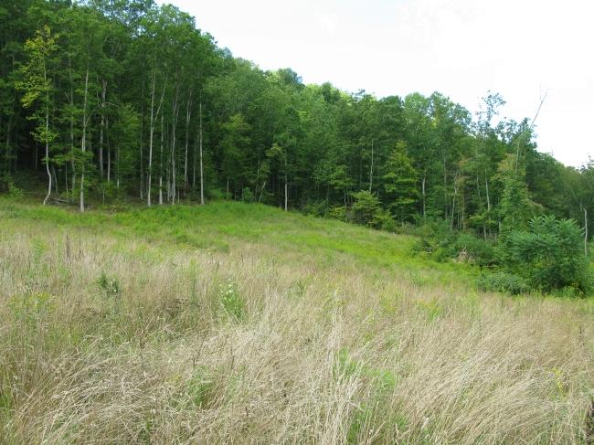 Lot #14 Spice Run Road Hillsboro, WV 24946 - Photo 1 of 7 Spice Run Lot 14