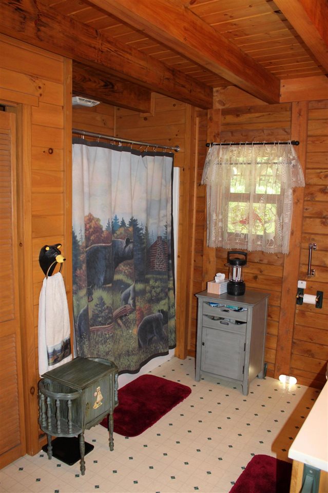 3943 West Main Road Road Stanton, MI 48888 - Photo 32 of 47